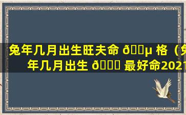 兔年几月出生旺夫命 🐵 格（兔年几月出生 🐟 最好命2021）